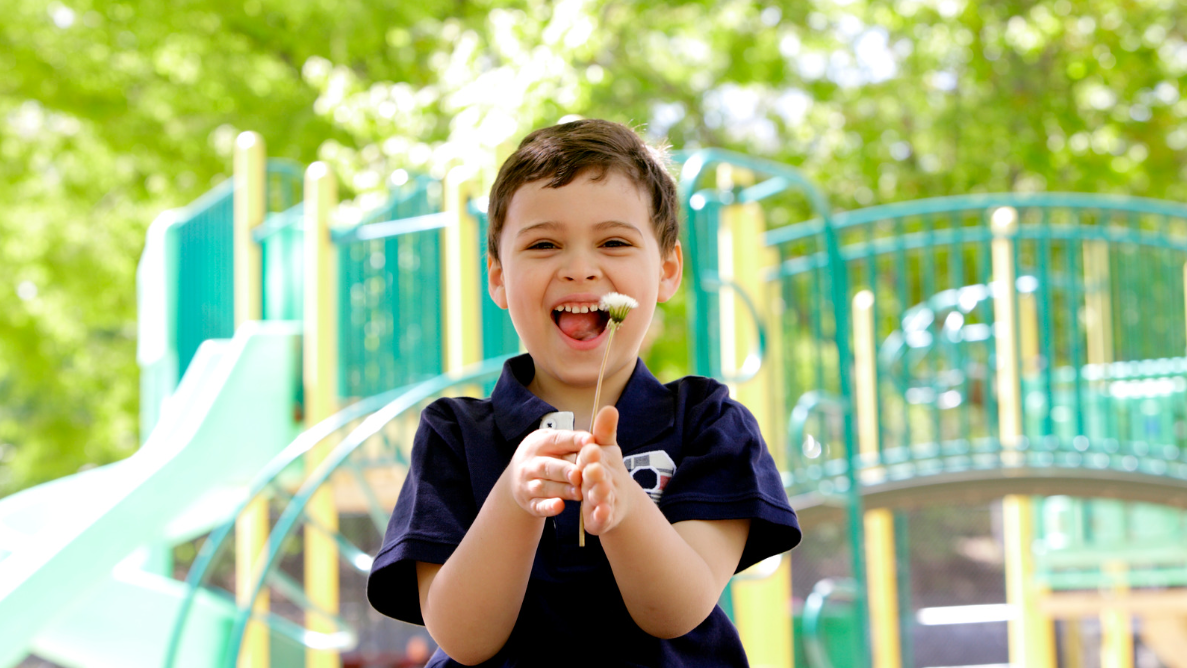 High Functioning Autism Spectrum Disorder: an Overview